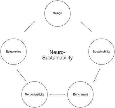 Neurosustainability